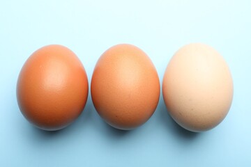 Fresh chicken eggs on light blue background, above view