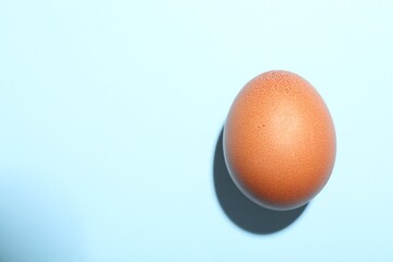 One brown chicken egg on light blue background, above view. Space for text