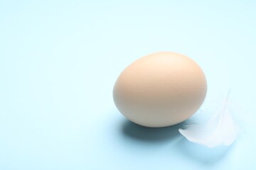 One chicken egg and feather on light blue background, closeup. Space for text