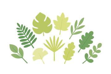 Assortment of diverse green botanical leaves and natural foliage elements on a clean white background