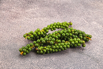 Green pepper corn on the branch