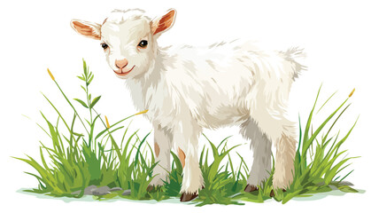Obraz premium Adorable Baby Goat Standing in Vibrant Green Field - Natural Beauty