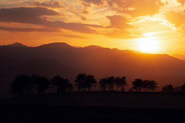Golden evening sun setting behind layered hills and pine silhouettes in Georgia