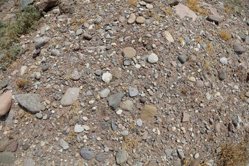 Soil and rock texture close-up. Soil and rock in nature
