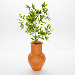 Ceramic vase with green plant on white surface
