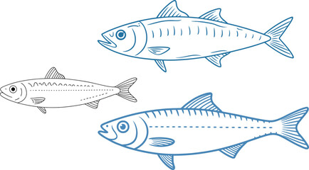 Fototapeta premium Fresh catch of the day three beautiful fish swimming in the ocean ready for a delicious meal in a modern seafood restaurant or fish market today