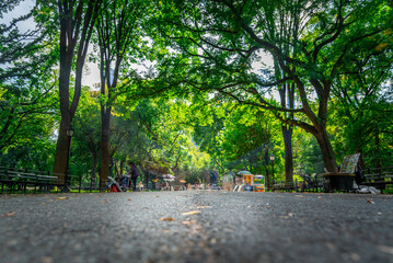 Famous Literary Walk in Central Park seen from the floor