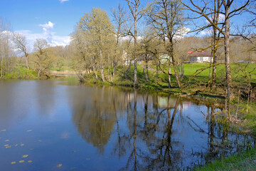 Peaceful Countryside Pond with Bare Trees in Early Spring, Reflections on Calm Water, Eye-Level View, Rural Scene in Northern Europe