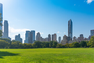 Obraz premium Sheep Meadow in Central Park with skyscrapers on the background.