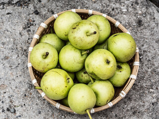 wicker plate with apples from the region, Jiaju, Danba county, Garzê Tibetan Autonomous Prefecture, Sichuan,  China