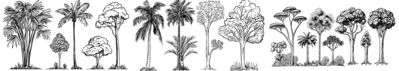 Silhouettes of tropical trees and palm outlines are depicted in a modern illustration
