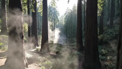 Sunlit forest with towering ancient trees, ethereal mist drifting through rays of light, creating a serene and mystical woodland scene, perfect for nature's quiet embrace - Powered by Adobe