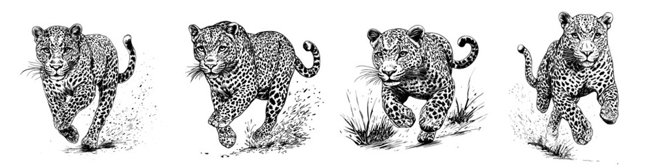 Obraz premium A modern leopard is depicted in a watercolor painting set against a white background