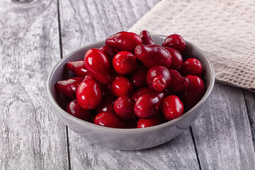 Red ripe sweet juicy dogwood