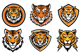 A colorful set of cartoon tiger heads and a wild striped tiger vector illustration for your design