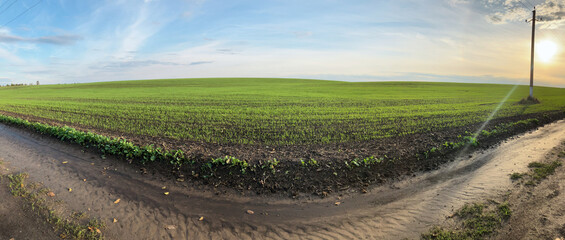 Picturesque field view with emerald blue sky. Environmental conservation concept. Green eco tourism. Save the planet Earth. Scenic landscape. Rural scene at the countryside. Agricultural cultivation.