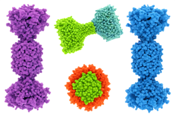 abstract colorful protein structures isolated on white background png, ai generated