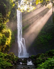 Fototapeta premium Waterfall cascading into a lush jungle