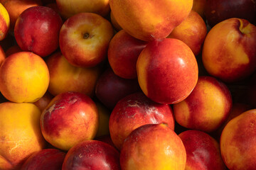 Closeup of ripe nectarines with vibrant red and orange skin filling the frame. Juicy ripe nectarines closeup perfect for healthy eating nutrition concepts fruit market advertising.