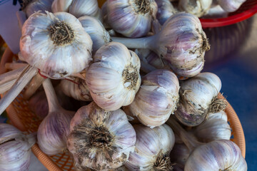Fresh garlic bulbs in rustic baskets at local market. Organic garlic harvest with roots and purple skins displayed in woven baskets for culinary and agricultural themes.