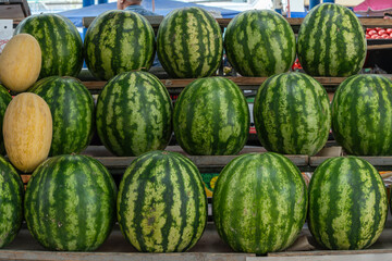 Watermelons and melons stacked at market stall with digital scale. Fresh watermelons and melons arranged in colorful display at local produce market under metal roof.