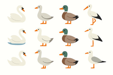 Obraz premium A set of icons representing various waterfowl. Simple outline icons in pastel colors that can be used for designs related to nature or aquatic ecosystems.