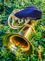 typical music instrument of a bavarian brass band