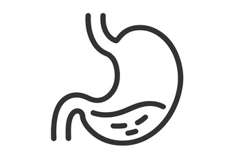Stomach icon, linear style. Gastric symbol for medical and healthcare concepts. Vector illustration of human organ anatomy, digestive system, digestion, gut health, and microbiome.