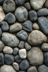 Stone background. Wall of rounded pebbles.