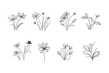 Elegant floral line art elements for modern design projects