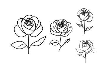 Elegant rose outlines for modern botanical design projects