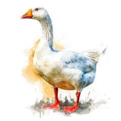 Farm animals set , EPS painting design, Vector illustration set, My Watercolor illustration, Cute goose in watercolor style painting isolated on a white background