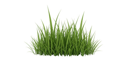 Isolated lush green grass clump, vibrant lawn growth, natural blades, botanical element