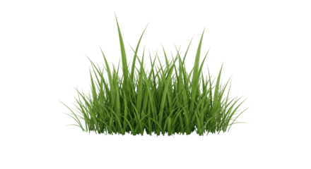 Isolated lush green grass clump, vibrant lawn growth, natural blades, botanical element