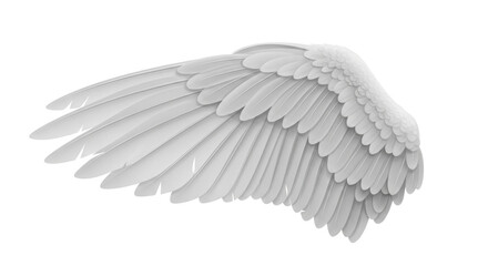 Isolated majestic feathered wing, elegant plumage texture, soaring flight of angel © Leon