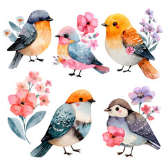 Fototapeta premium Vector illustration set, My Watercolor illustration, cute spring watercolor birds with flowers painting isolated on a white background, An EPS painting design, 
