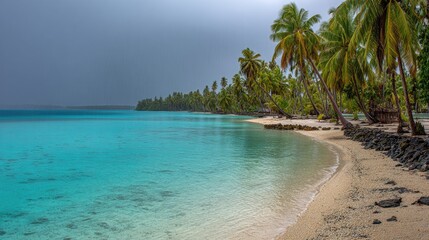 Fototapeta premium Tropical beach shoreline