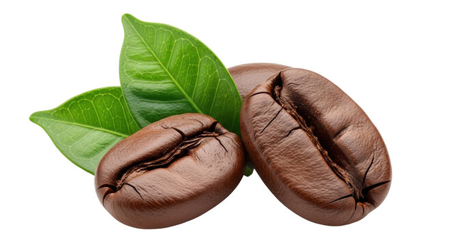 Isolated aromatic coffee beans with fresh green leaves for a rich brew preparation