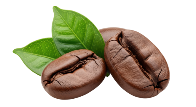 Isolated aromatic coffee beans with fresh green leaves for a rich brew preparation