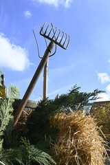 herbstdekoration