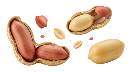 Isolated peanuts in shell close-up, Arachis hypogaea, legume ingredients, nutritional value