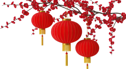 Isolated, round Asian paper lanterns hanging from flowering tree branch decoration prop