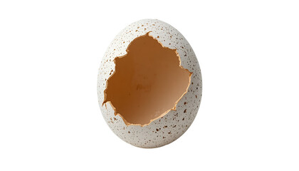 Cracked Speckled Eggshell with Jagged Opening Isolated on White Background – Realistic Natural Detail isolated on transparent background