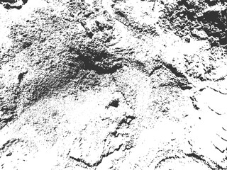 Rough Monochrome Ground Cracked Earth Grunge Texture