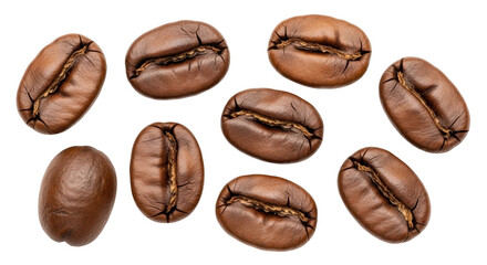 Isolated roasted coffee beans, close-up view of whole beans for brewing, making beverage
