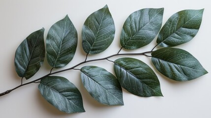 green leaves background