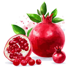 Vector illustration set, eps format, My Watercolor illustration, slices pomegranate painting isolated on a white background, EPS painting design