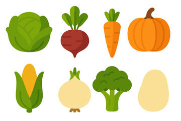 Assortment of fresh healthy organic vegetables and root crops for cooking