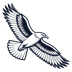 Black and white eagle in flight