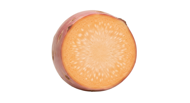 Isolated cross-section of a turnip, revealing its unique internal structure and color